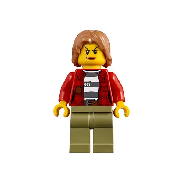 City 60173 Горная полиция: Арест (Фото 10)