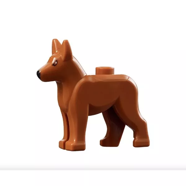 Creator Expert 10218 Зоомагазин (Фото 7)