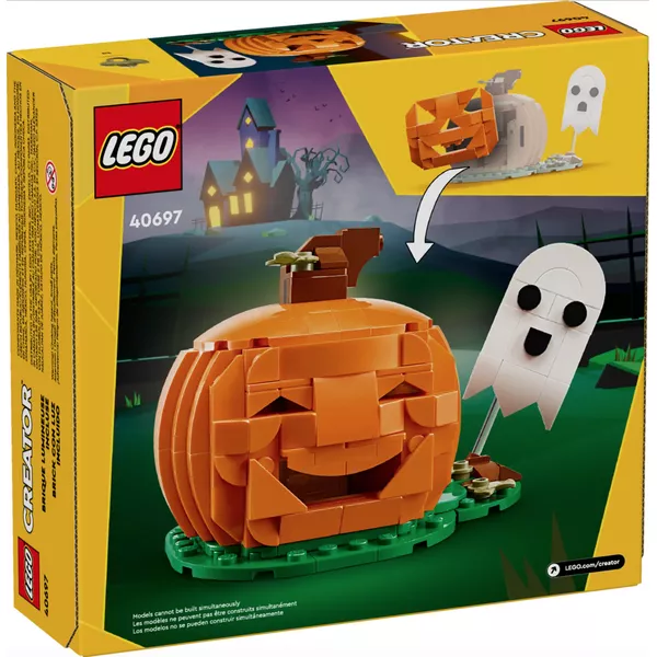 Creator 40697 Тыква на Хэллоуин (Фото 2)
