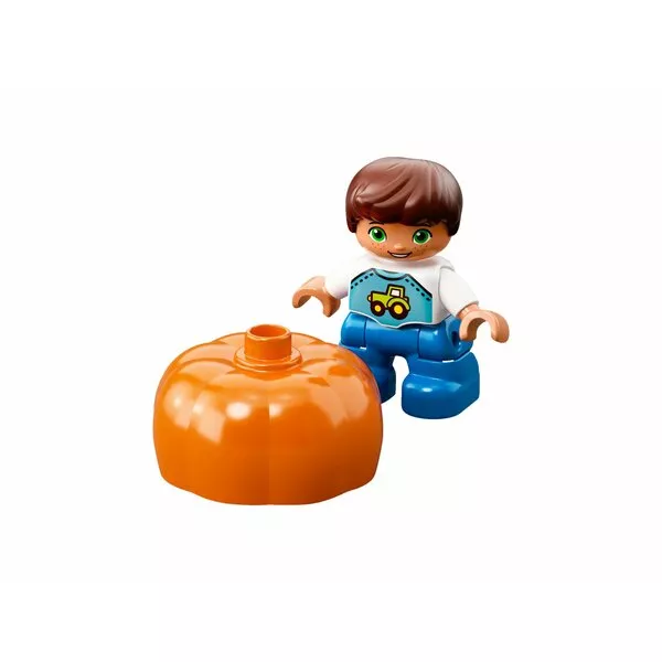 DUPLO 10867 Фермерский рынок (Фото 6)