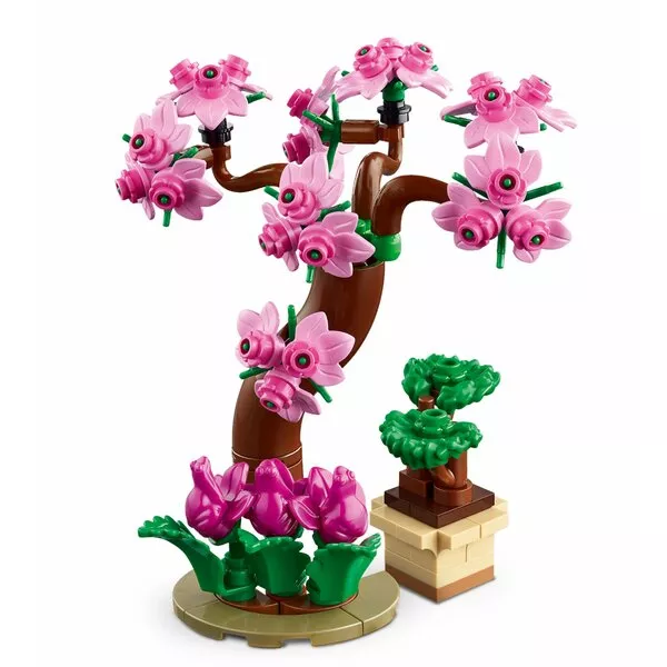 Friends 41757 Ботанический сад (Фото 10)