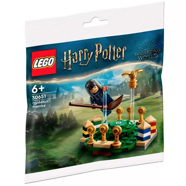 Harry Potter 30651 Тренировка по Квиддичу