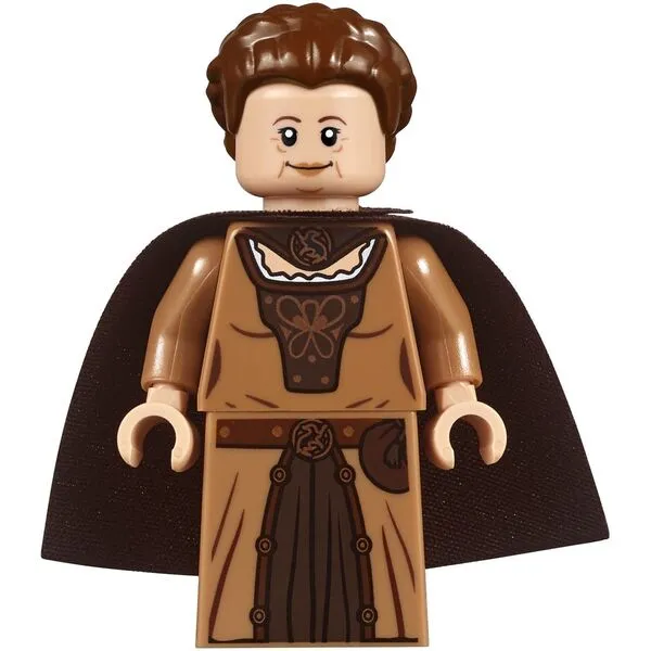 Harry Potter 71043 Замок Хогвартс (Фото 29)