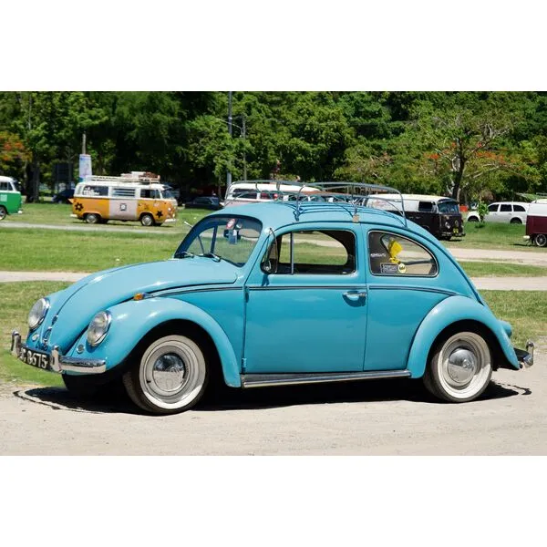 Icons 10252 Фольксваген Жук (Фото 3)