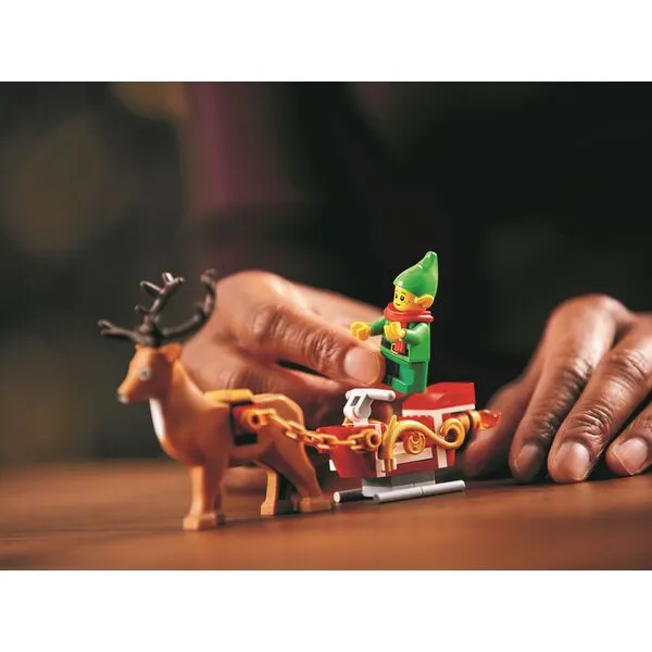 Icons 10275 Домик Эльфов (Фото 10)