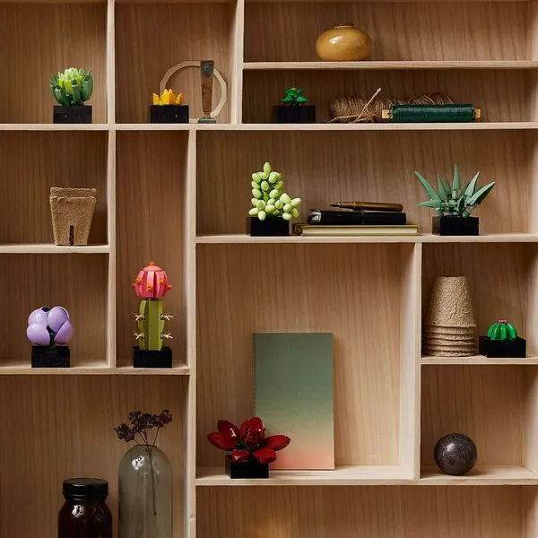 Icons 10309 Суккуленты (Фото 5)