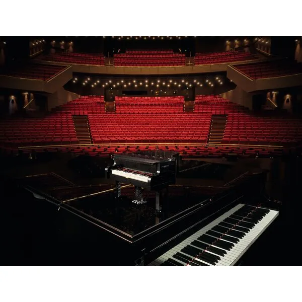 Ideas 21323 Рояль (Фото 20)