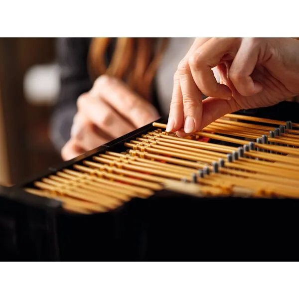 Ideas 21323 Рояль (Фото 3)