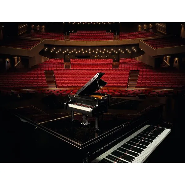 Ideas 21323 Рояль (Фото 23)