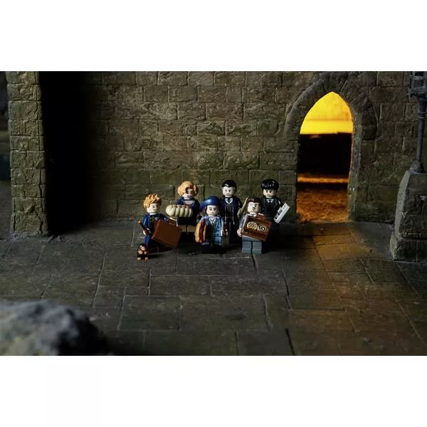 Minifigures 71022 Гарри Поттер и Фантастические твари (Фото 6)