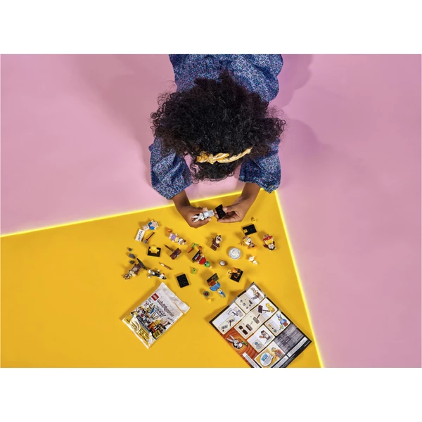 Minifigures 71030-3 Хитрый койот (Фото 4)