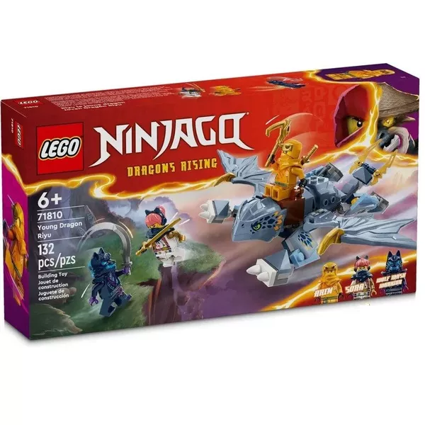 NINJAGO 71810 Молодой дракон Райюa